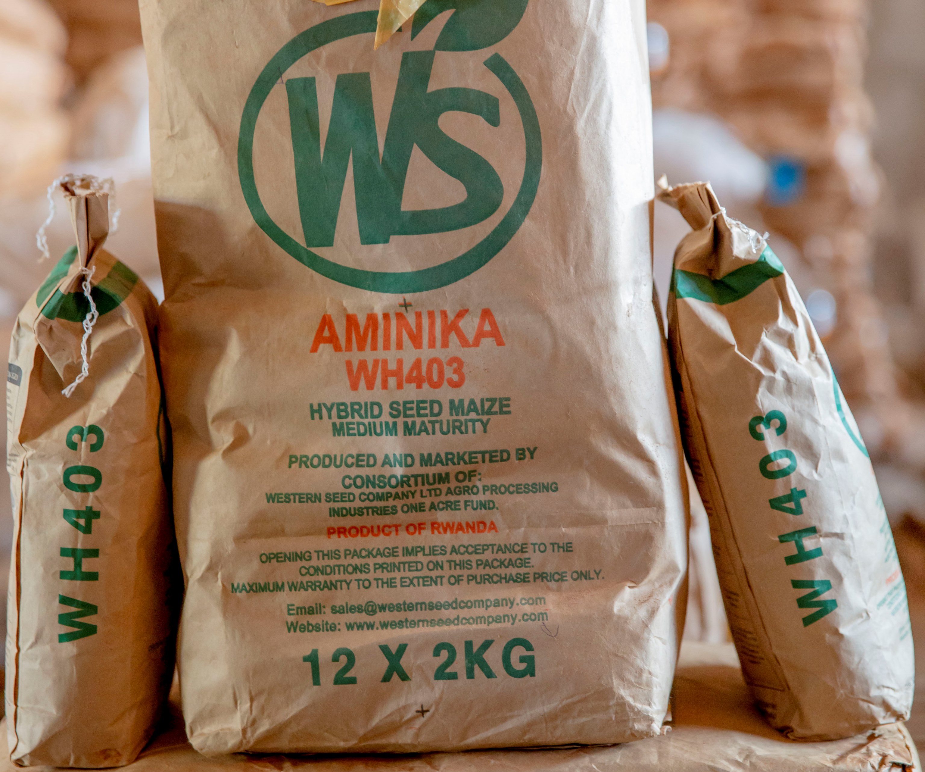 Fertilizers & Seeds Distribution