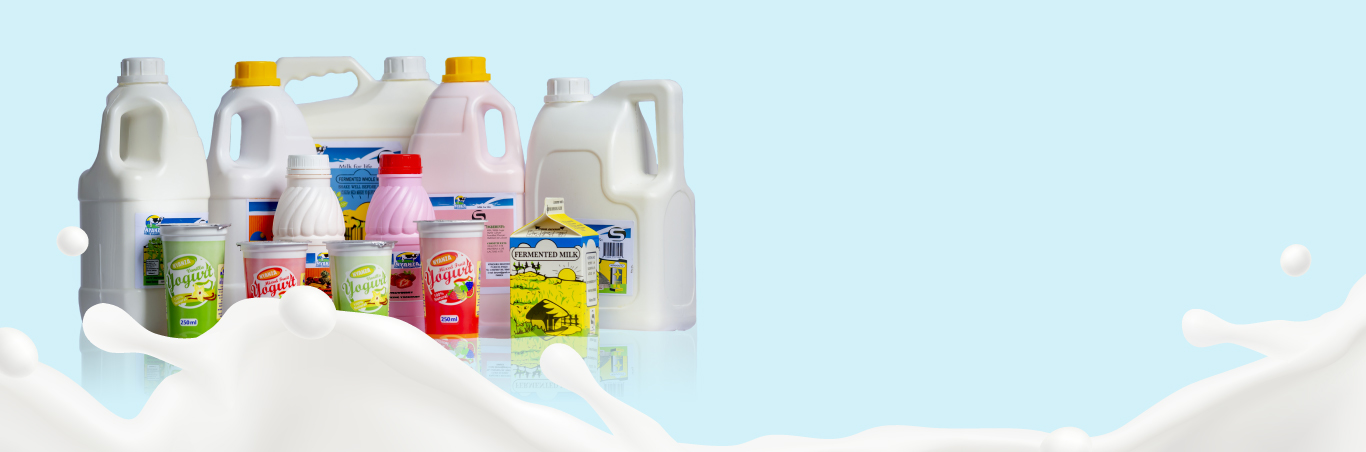 Dairy cows in a modern barn